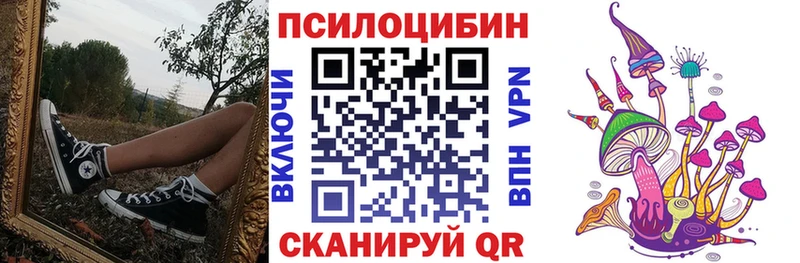 Купить где  Узловая  Галлюциногенные грибы Psilocybine cubensis 